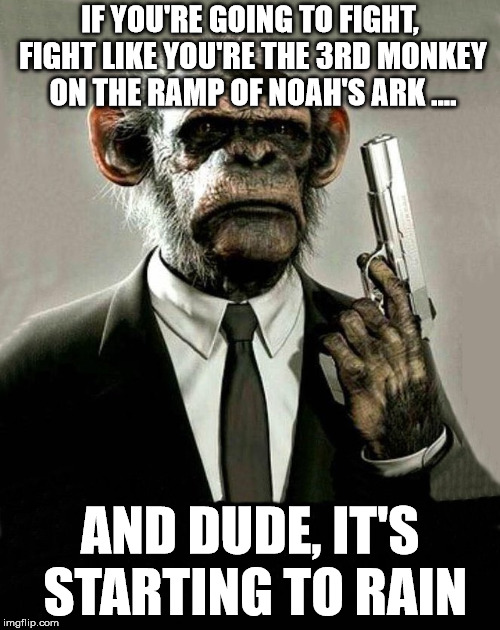 It is time to fight for what you really want | IF YOU'RE GOING TO FIGHT, FIGHT LIKE YOU'RE THE 3RD MONKEY ON THE RAMP OF NOAH'S ARK .... AND DUDE, IT'S STARTING TO RAIN | image tagged in advice,fight,monkey memes | made w/ Imgflip meme maker