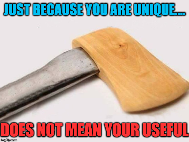 Being unique is not always good for you or others | JUST BECAUSE YOU ARE UNIQUE.... DOES NOT MEAN YOUR USEFUL | image tagged in memes,special,unique,humor | made w/ Imgflip meme maker