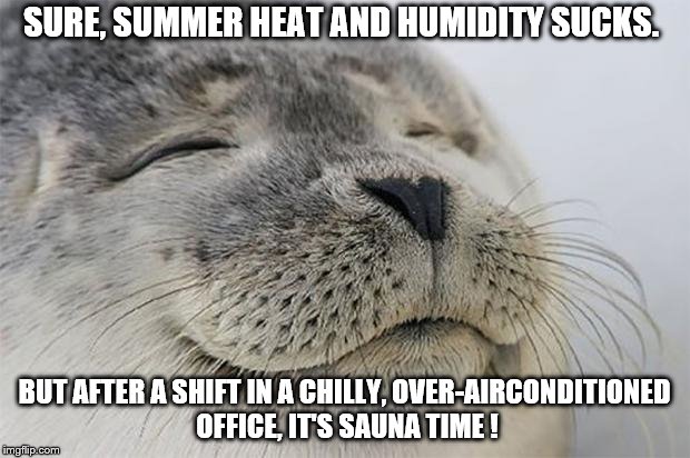 It's all in how you look at it? | SURE, SUMMER HEAT AND HUMIDITY SUCKS. BUT AFTER A SHIFT IN A CHILLY, OVER-AIRCONDITIONED OFFICE, IT'S SAUNA TIME ! | image tagged in satisfied seal | made w/ Imgflip meme maker