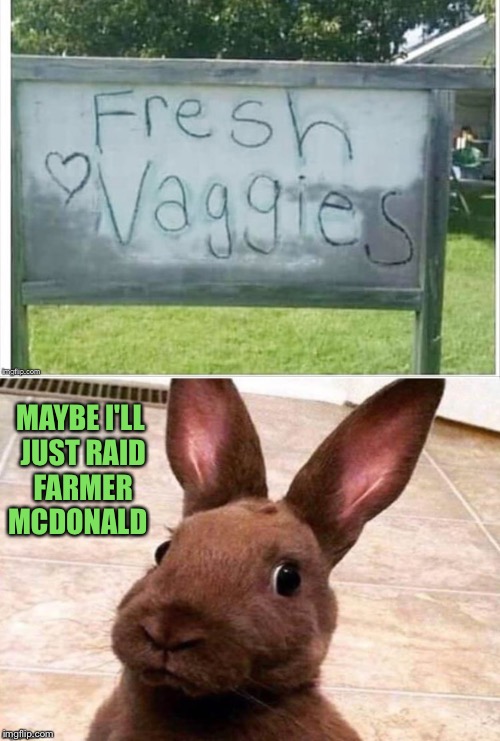 Smart varmint. | MAYBE I'LL JUST RAID FARMER MCDONALD | image tagged in rabbit,old mcdonald,vegetables,memes,funny | made w/ Imgflip meme maker
