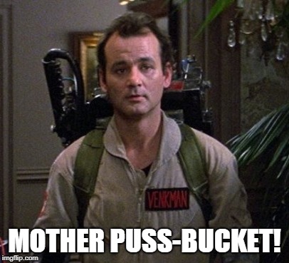 MOTHER PUSS BUCKET | MOTHER PUSS-BUCKET! | image tagged in memes,funny meme,ghostbusters,bill murray | made w/ Imgflip meme maker