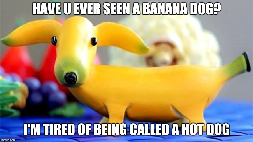 Banana Dog | HAVE U EVER SEEN A BANANA DOG? I'M TIRED OF BEING CALLED A HOT DOG | image tagged in banana,hotdog,dog | made w/ Imgflip meme maker