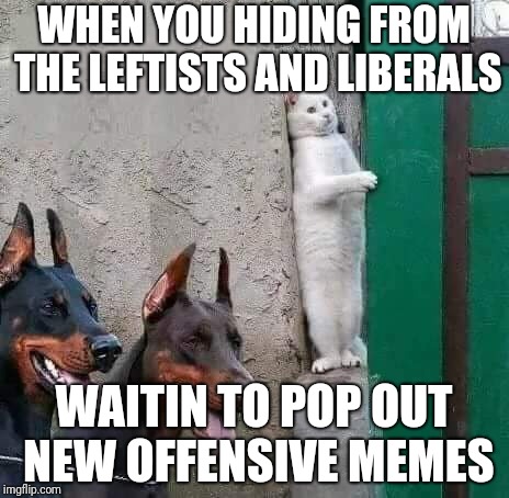 WHEN YOU HIDING FROM THE LEFTISTS AND LIBERALS; WAITIN TO POP OUT NEW OFFENSIVE MEMES | image tagged in offending liberals,liberals,liberal memes | made w/ Imgflip meme maker