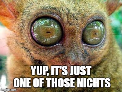 No Sleep for Lemur | YUP, IT'S JUST ONE OF THOSE NICHTS | image tagged in no sleep for lemur | made w/ Imgflip meme maker