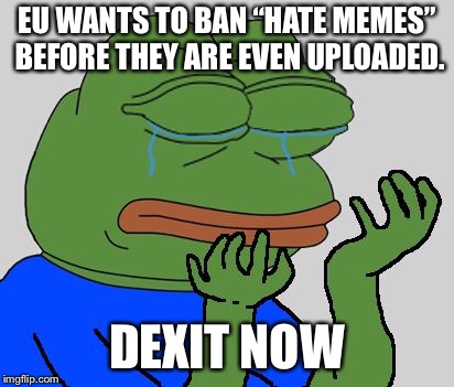 pepe cry | EU WANTS TO BAN “HATE MEMES” BEFORE THEY ARE EVEN UPLOADED. DEXIT NOW | image tagged in pepe cry | made w/ Imgflip meme maker