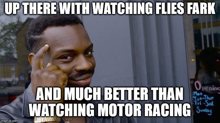 Roll Safe Think About It Meme | UP THERE WITH WATCHING FLIES FARK AND MUCH BETTER THAN WATCHING MOTOR RACING | image tagged in memes,roll safe think about it | made w/ Imgflip meme maker