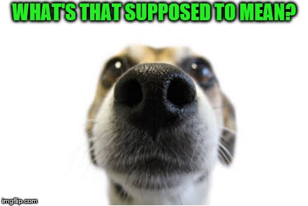 WHAT'S THAT SUPPOSED TO MEAN? | made w/ Imgflip meme maker