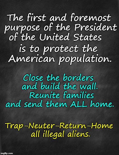 Purpose of President: Protect American Population | The first and foremost purpose of the President of the United States; is to protect the American population. Close the borders and build the wall.  Reunite families and send them ALL home. Trap-Neuter-Return-Home all illegal aliens. | image tagged in close borders,send illegals home,space gal from the future of yesterday  with background | made w/ Imgflip meme maker