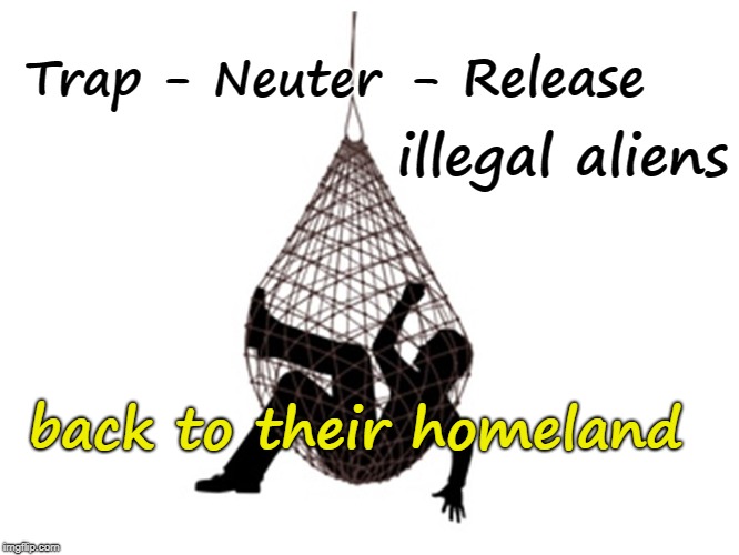 TNR illegal aliens | - Release; illegal aliens; Trap - Neuter; back to their homeland | image tagged in net trap,illegal aliens,return illegals home | made w/ Imgflip meme maker