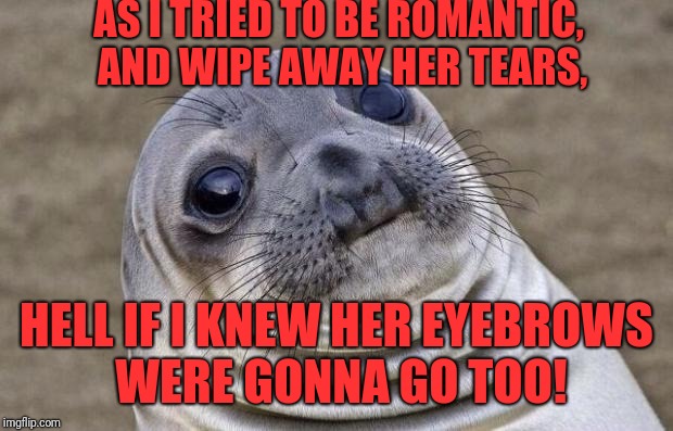 Awkward Moment Sealion Meme | AS I TRIED TO BE ROMANTIC, AND WIPE AWAY HER TEARS, HELL IF I KNEW HER EYEBROWS WERE GONNA GO TOO! | image tagged in memes,awkward moment sealion | made w/ Imgflip meme maker