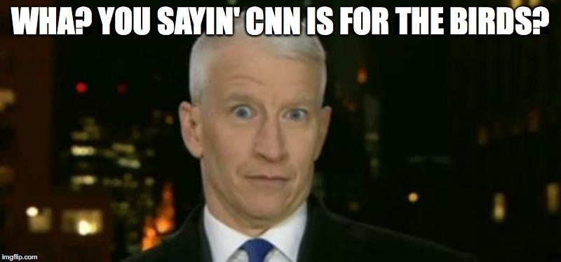 WHA? YOU SAYIN' CNN IS FOR THE BIRDS? | made w/ Imgflip meme maker