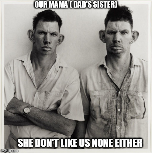 Buford and his  brother  Buford | OUR MAMA ( DAD'S SISTER); SHE DON'T LIKE US NONE EITHER | image tagged in the twins,buford and buford | made w/ Imgflip meme maker