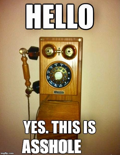 Old phone | ASSHOLE | image tagged in old phone | made w/ Imgflip meme maker