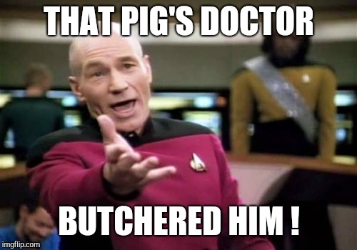 Picard Wtf Meme | THAT PIG'S DOCTOR BUTCHERED HIM ! | image tagged in memes,picard wtf | made w/ Imgflip meme maker