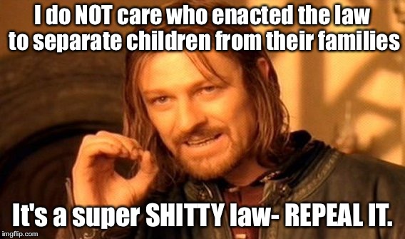 One Does Not Simply Meme | I do NOT care who enacted the law to separate children from their families; It's a super SHITTY law- REPEAL IT. | image tagged in memes,one does not simply | made w/ Imgflip meme maker