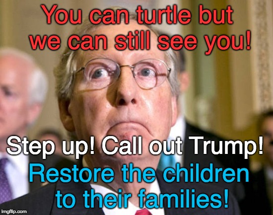 Mitch McConnell - Save the children! Stand up to Trump! | You can turtle but we can still see you! Step up! Call out Trump! Restore the children to their families! | image tagged in mitch mcconnell,turtle,save the children,stop trump,end child abuse,restore | made w/ Imgflip meme maker