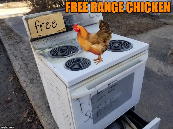 free range chicken | FREE RANGE CHICKEN | image tagged in free range chicken,bad pun | made w/ Imgflip meme maker