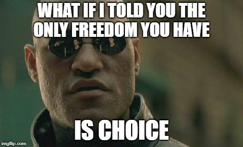 Matrix Morpheus Meme | WHAT IF I TOLD YOU THE ONLY FREEDOM YOU HAVE; IS CHOICE | image tagged in memes,matrix morpheus | made w/ Imgflip meme maker