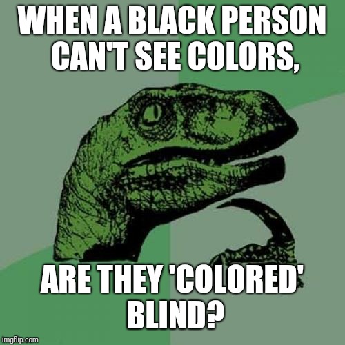 Philosoraptor Meme | WHEN A BLACK PERSON CAN'T SEE COLORS, ARE THEY 'COLORED' BLIND? | image tagged in memes,philosoraptor | made w/ Imgflip meme maker