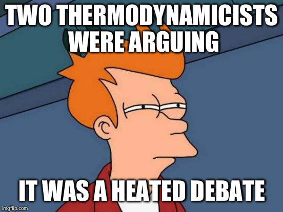 Science jokes | TWO THERMODYNAMICISTS WERE ARGUING; IT WAS A HEATED DEBATE | image tagged in memes,futurama fry,puns | made w/ Imgflip meme maker