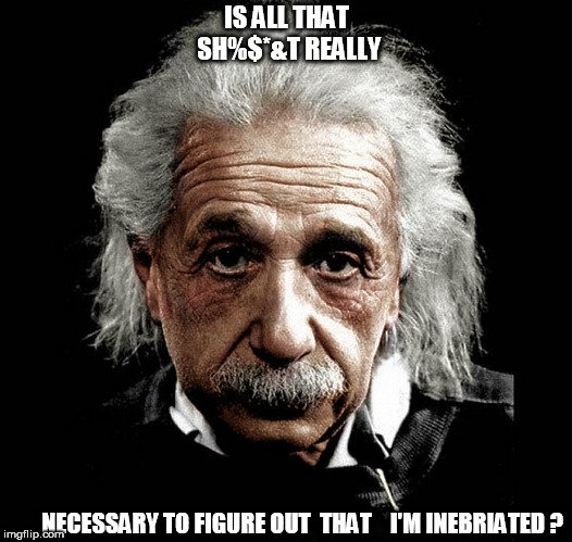 IS ALL THAT SH%$*&T REALLY NECESSARY TO FIGURE OUT  THAT    I'M INEBRIATED ? | made w/ Imgflip meme maker
