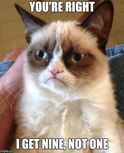 Grumpy Cat Meme | YOU'RE RIGHT I GET NINE, NOT ONE | image tagged in memes,grumpy cat | made w/ Imgflip meme maker
