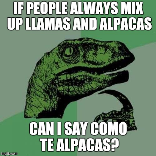 Como te llamas joke. (Will only understand if you know spanish) | IF PEOPLE ALWAYS MIX UP LLAMAS AND ALPACAS CAN I SAY COMO TE ALPACAS? | image tagged in memes,philosoraptor,funny,hilarious,gifs,pie charts | made w/ Imgflip meme maker