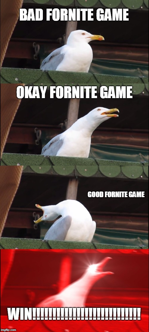 Inhaling Seagull | BAD FORNITE GAME; OKAY FORNITE GAME; GOOD FORNITE GAME; WIN!!!!!!!!!!!!!!!!!!!!!!!!!!! | image tagged in memes,inhaling seagull | made w/ Imgflip meme maker