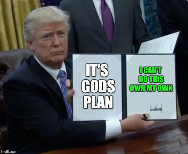 God loves trump | IT'S GODS PLAN; I CAN'T DO THIS OWN MY OWN | image tagged in memes,trump bill signing,god | made w/ Imgflip meme maker