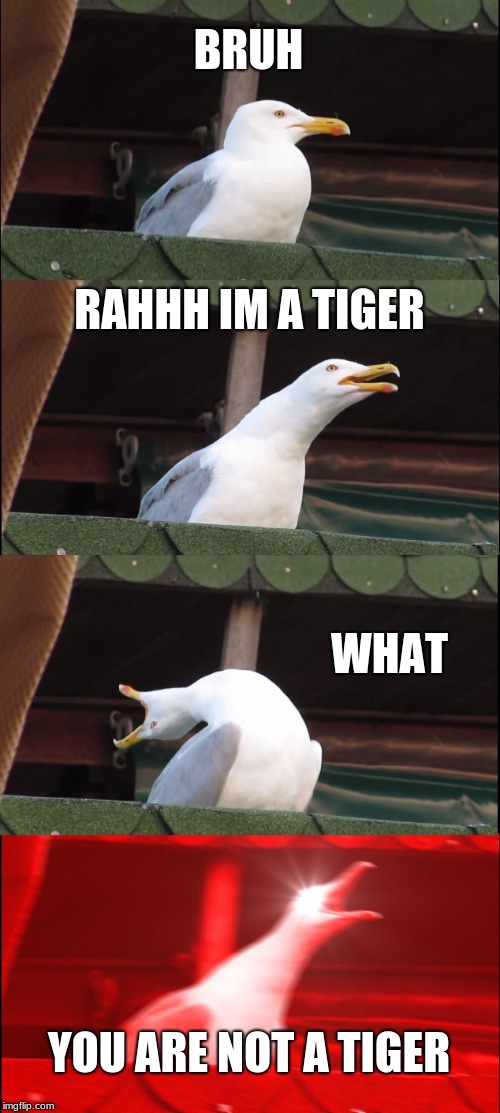 Inhaling Seagull Meme | BRUH; RAHHH IM A TIGER; WHAT; YOU ARE NOT A TIGER | image tagged in memes,inhaling seagull | made w/ Imgflip meme maker
