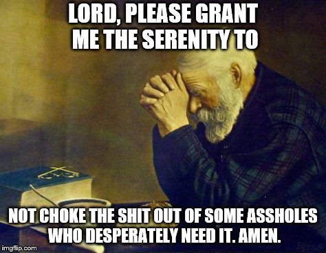 And that list grows every day! | LORD, PLEASE GRANT ME THE SERENITY TO; NOT CHOKE THE SHIT OUT OF SOME ASSHOLES WHO DESPERATELY NEED IT. AMEN. | image tagged in memes,inspirational memes,prayer | made w/ Imgflip meme maker