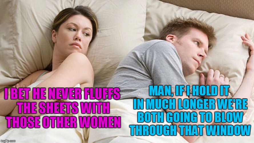 I BET HE NEVER FLUFFS THE SHEETS WITH THOSE OTHER WOMEN MAN, IF I HOLD IT IN MUCH LONGER WE'RE BOTH GOING TO BLOW THROUGH THAT WINDOW | made w/ Imgflip meme maker