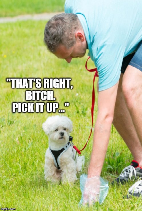 Pick it up... | "THAT'S RIGHT, BITCH. PICK IT UP..." | image tagged in dogs | made w/ Imgflip meme maker