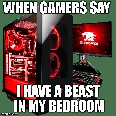 WHEN GAMERS SAY; I HAVE A BEAST IN MY BEDROOM | image tagged in pc | made w/ Imgflip meme maker