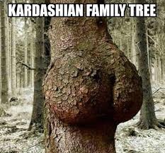 Kardashian Family Tree | image tagged in funny,memes | made w/ Imgflip meme maker