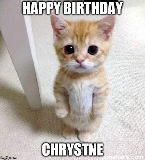 Cute Cat Meme | HAPPY BIRTHDAY; CHRYSTNE | image tagged in memes,cute cat | made w/ Imgflip meme maker