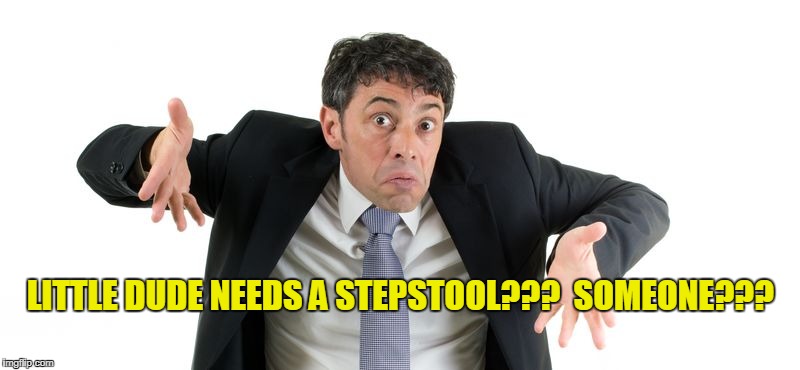 LITTLE DUDE NEEDS A STEPSTOOL???  SOMEONE??? | made w/ Imgflip meme maker