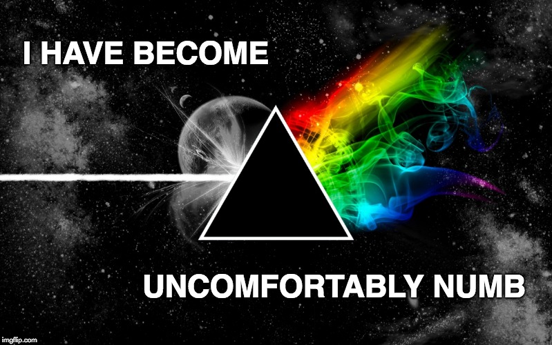 Dark side of moon pink floyd | I HAVE BECOME; UNCOMFORTABLY NUMB | image tagged in dark side of moon pink floyd | made w/ Imgflip meme maker