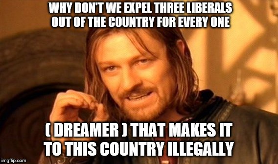 One Does Not Simply Meme | WHY DON'T WE EXPEL THREE LIBERALS OUT OF THE COUNTRY FOR EVERY ONE; ( DREAMER ) THAT MAKES IT TO THIS COUNTRY ILLEGALLY | image tagged in memes,one does not simply | made w/ Imgflip meme maker