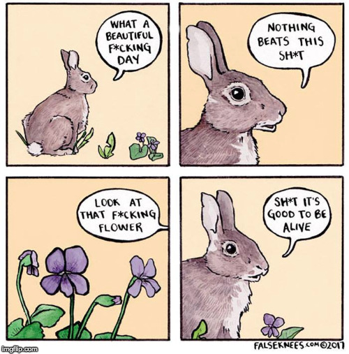 A Happy Little Bunny | . | image tagged in nsfw,funny | made w/ Imgflip meme maker