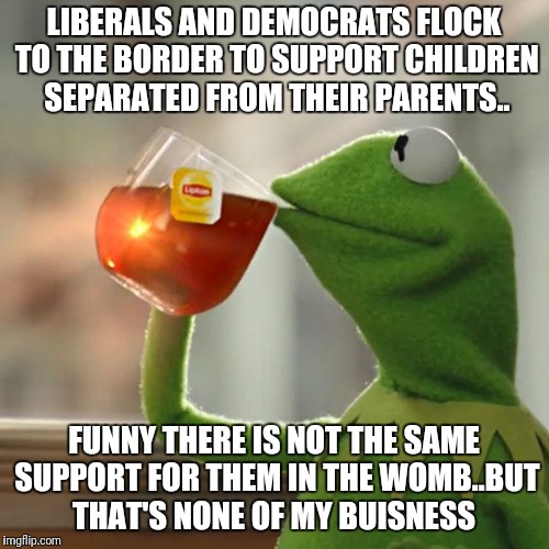 But That's None Of My Business Meme | LIBERALS AND DEMOCRATS FLOCK TO THE BORDER TO SUPPORT CHILDREN SEPARATED FROM THEIR PARENTS.. FUNNY THERE IS NOT THE SAME SUPPORT FOR THEM IN THE WOMB..BUT THAT'S NONE OF MY BUISNESS | image tagged in memes,but thats none of my business,kermit the frog | made w/ Imgflip meme maker