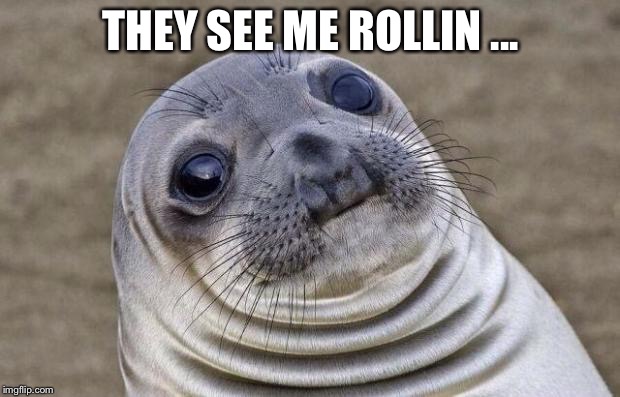 Awkward Moment Sealion | THEY SEE ME ROLLIN ... | image tagged in memes,awkward moment sealion | made w/ Imgflip meme maker