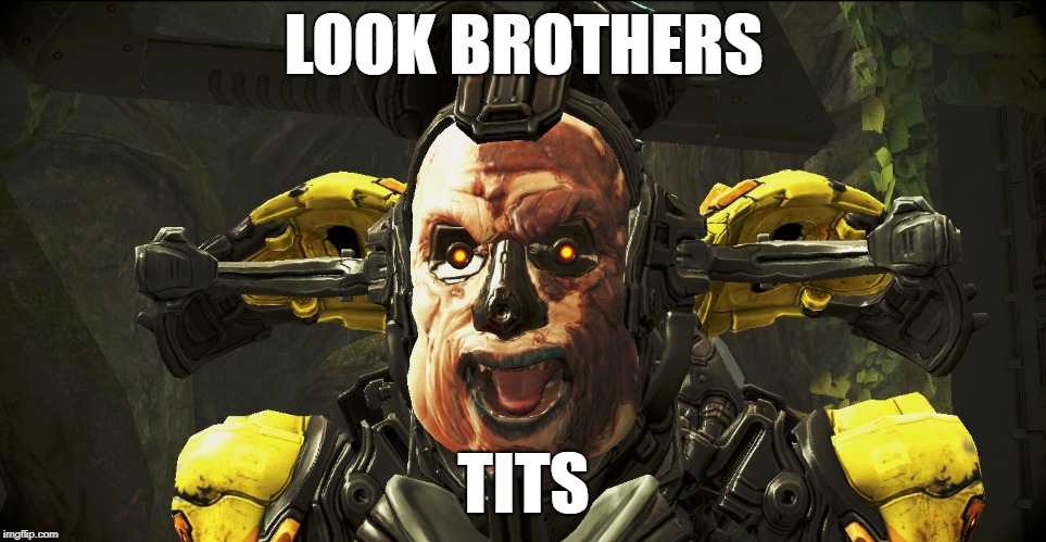 Vay Hek | LOOK BROTHERS; TITS | image tagged in vay hek | made w/ Imgflip meme maker