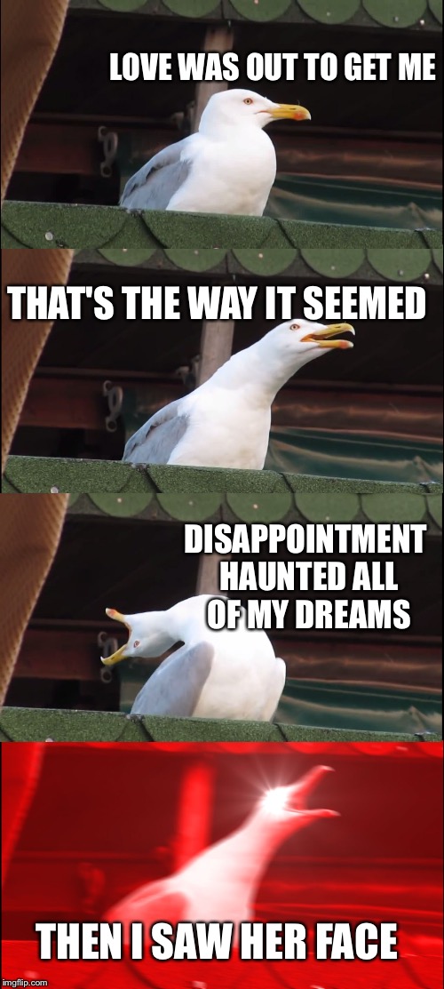 Inhaling Seagull Meme | LOVE WAS OUT TO GET ME; THAT'S THE WAY IT SEEMED; DISAPPOINTMENT HAUNTED ALL OF MY DREAMS; THEN I SAW HER FACE | image tagged in memes,inhaling seagull | made w/ Imgflip meme maker