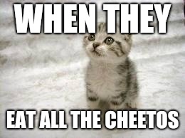Sad Cat Meme | WHEN THEY; EAT ALL THE CHEETOS | image tagged in memes,sad cat | made w/ Imgflip meme maker