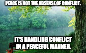Nature | PEACE IS NOT THE ABSENSE OF CONFLICT, IT'S HANDLING CONFLICT IN A PEACEFUL MANNER. | image tagged in nature | made w/ Imgflip meme maker