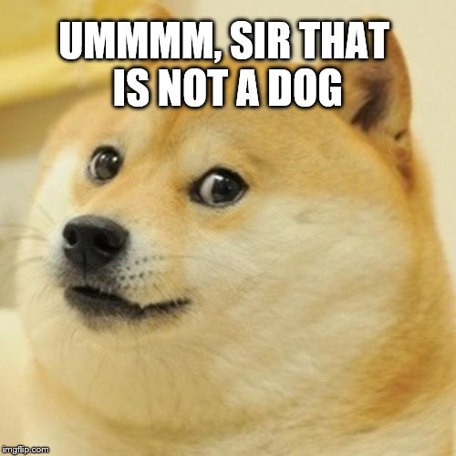 Doge Meme | UMMMM, SIR THAT IS NOT A DOG | image tagged in memes,doge | made w/ Imgflip meme maker