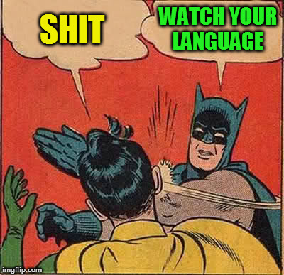 Batman Slapping Robin Meme | SHIT WATCH YOUR LANGUAGE | image tagged in memes,batman slapping robin | made w/ Imgflip meme maker