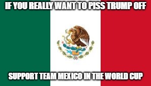 Mexican Flag | IF YOU REALLY WANT TO PISS TRUMP OFF; SUPPORT TEAM MEXICO IN THE WORLD CUP | image tagged in mexican flag | made w/ Imgflip meme maker