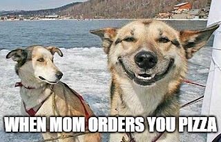 Original Stoner Dog Meme | WHEN MOM ORDERS YOU PIZZA | image tagged in memes,original stoner dog | made w/ Imgflip meme maker